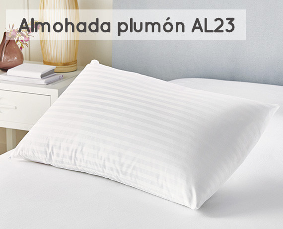 /productos/thumbs/68/25/94/al23-almohada-plumon-normal-10-1682594472-570-300-90.jpg
